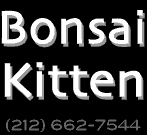 Imagens do site Bonsai Kitten