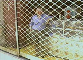 O comerciante  que fica atrs das grades... (Captura de tela: Rede Bandeirantes de Televiso, 30/9/2002, 20h03)
