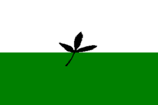Bandeira/flag: Vaupés ©FOTW (Flags Of The World)