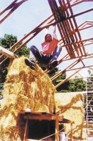 Bambu se destaca como material renovvel para construo ecolgica - Foto: divulgao